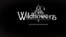 Another Million Miles
