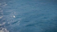 Lana Del Rey - High By The Beach