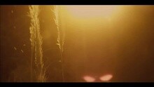 Nicki Minaj - Va Va Voom
