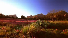 音乐短片 - 美国国家公园(十四)