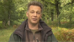 音乐短片 - EURASIAN SPARROWHAWKS SECRET LIFE