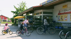 音乐短片 - Steinmauern - Dorf An Murg Und Rhein