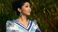 华语群星,民乐群星 - 草原情思