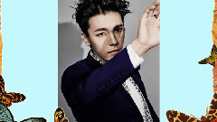 Super Junior - 爱你从未后悔过