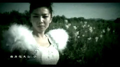 华语群星,民乐群星 - 真爱放手