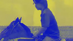 华语群星,民乐群星 - 达那巴拉