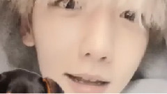 EXO,EXO-K - 伯贤更新INS视频一则