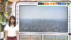 柏木由纪,AKB48 - ひるおび
