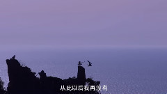 陈升 - 把悲伤留给自己