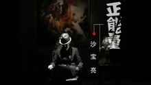 沙宝亮 - 正能量