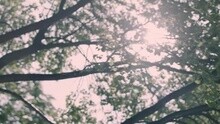 The Avener - To Let Myself Go