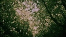 Xela - Baciami