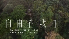 华语群星 - 自由在我手