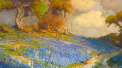 音乐短片 - 蝴蝶与蓝