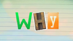 Myk Perez - Why