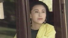不了情