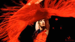 音乐短片 - Roni Benise - Guitarria