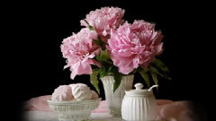 音乐短片 - 阿兰胡兹协奏曲Concierto De Aranjuez