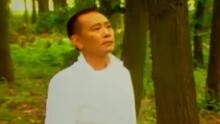 罗文 - 楚歌