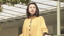 梁雁翎 - 恰似你的温柔