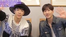 Super Junior-D&E - SUPER JUNIOR-D&E JAPAN TOUR 2015 PRESENT DVD预告