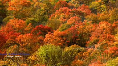 音乐短片 - Rhapsody