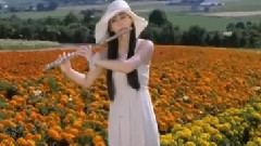 音乐短片 - Love Story-Andy Williams