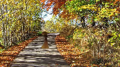 音乐短片 - Let's Take A Walk