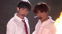 朴灿烈(EXO),EXO - GROWL
