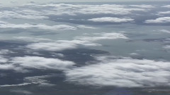 音乐短片 - From The Earth