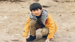 王源 - About Roy