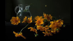 音乐短片 - 善良的心