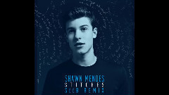Shawn Mendes - Stitches (SeeB Remix)