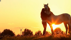 音乐短片 - Mira La Gitana Mora