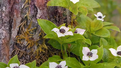 音乐短片 - Nothing's Gonna Change My Love For You