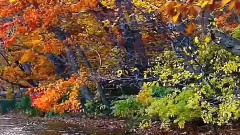 音乐短片 - 悲伤的西班牙