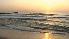 音乐短片 - Fighting for Me