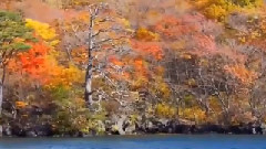 音乐短片 - 送别