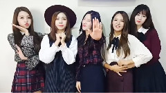 Berry Good - 500日!!! 纪念影像