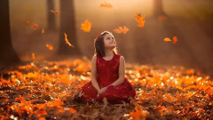 音乐短片 - VIOLIN ROMANCE No 2 Op 50