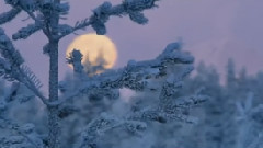 音乐短片 - 仙女山的月亮