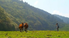音乐短片 - 仙女山的月亮