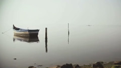 Leonard Cohen •^• You Got Me Singing