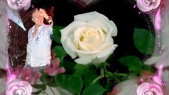 音乐短片 - Неделко Баич Бая