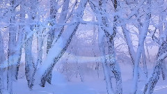 音乐短片 - Endless Love:Winter