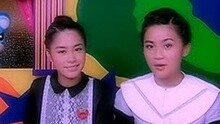 Twins - 自取其辱的乌鸦