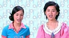 Twins - The Hokey Pokey