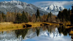 音乐短片 - 月亮代表我的心