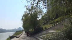 音乐短片 - 在水一方