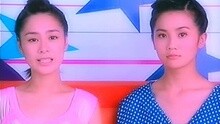 Twins - 葡萄园的农夫